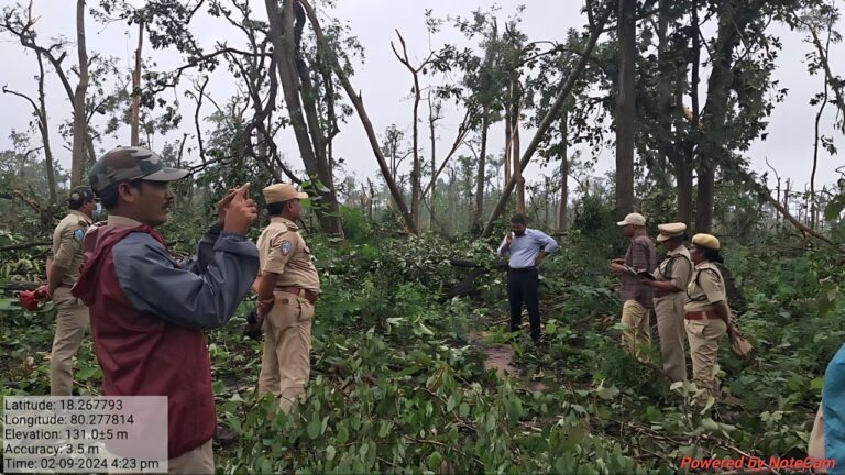 Collapse of Thousands of Trees in Eturunagaram Wildlife Sanctuary Puzzles Officials